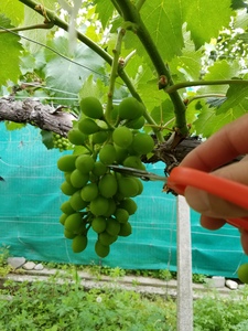 20160609_091427.jpg