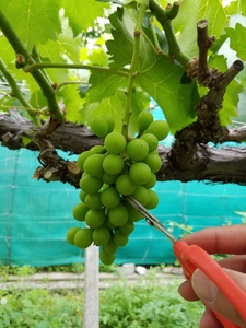 20160609_091433.jpg
