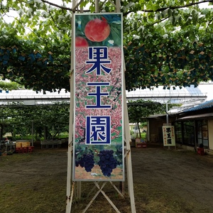 20160624_172053.jpg